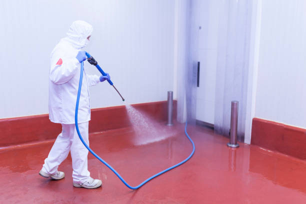 Best Graffiti Removal  in Oswego, NY